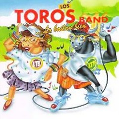 Los Toros Band -- Esa Paloma 1995