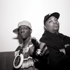 Public Enemy - Bring the Noise (Vocals only)
