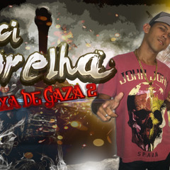 Mc Orelha - Faixa de gaza 2 - Música nova 2014 - (Dj Gurilão) @ZikaFunkSP