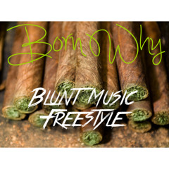 Blunt MUSIC freestyle