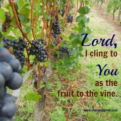 Ifa om killisou-(ICC SEATTLE)