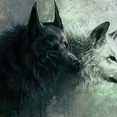 Duality