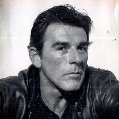 High Fidelity (by Thom Gunn)