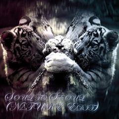 Soul to Seoul (N∆TURΞ Edit)