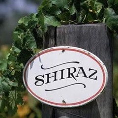 Shiraz music guitar موسيقى شيراز