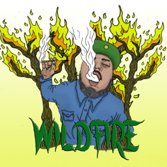 Wildfire Produced By DJ SPNZ