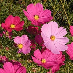 Stream Muto Hiroki Music Listen To Songs Albums Playlists For Free On Soundcloud