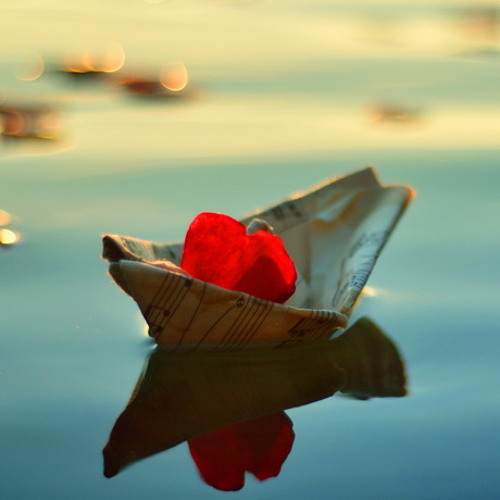 A.N.O. vs. Shadowx - Serenity