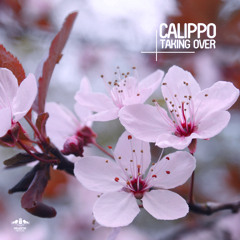 Calippo - Need A Friend (Original Mix)
