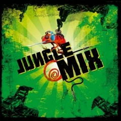 David James- The Jungle Mix