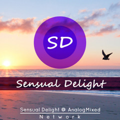 Sensual Delight - Morgenröte  [Only Vinyl Mixset]