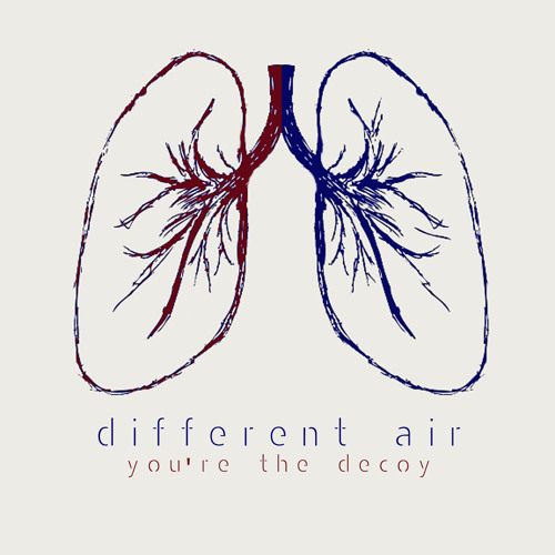 You're The Decoy - Different Air