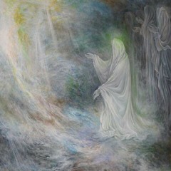 - محمود شاهين  -انس الوجود