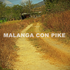 LUIS KREZEN- PASILLO