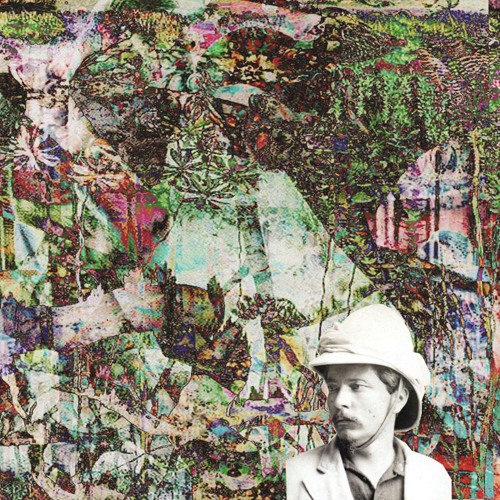 Senile Crocodile- Oh You [FREE DOWNLOAD]