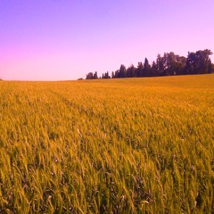 המזמור של חג הפסח - תהלים ק"ז