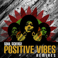 Soul Science - Positive Vibes (nsu Remix)