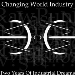 Changing World Industry: Two Years Of Industrial Dreams: 10 - Kiwistar - Run