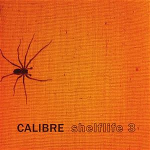 13 - Calibre - Erode (Shelflife 3)