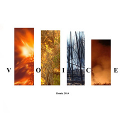 Fonky Heat - Burnout - Voice - Remix (2014)