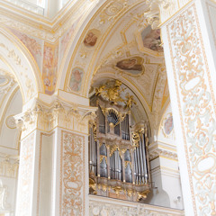 Joseph Haydn: <Benedictus> "Missa brevis Sancti Joannis de Deo"