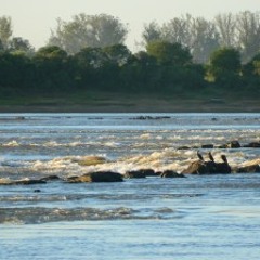 ERIKA BÜSCH | Salto junto al río