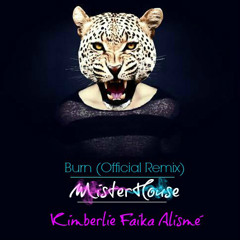 MisterHouse & Ellie Goulding - Burn (Official Remix)