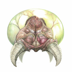 Citrus x Martz - Metroid [EXCLUSIVE CLIP]