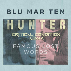 Blu Mar Ten & Seba - Hunter (Critical Condition Remix) - FREE DOWNLOAD
