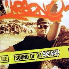 Sound of da beast
