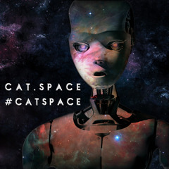 CAt.space #catspace