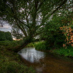 RedBrazen - Spring on the Chelmer Delta