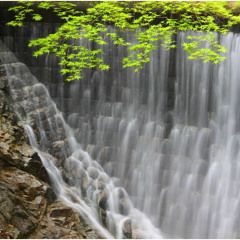 Nunobiki Falls// 3:00pm