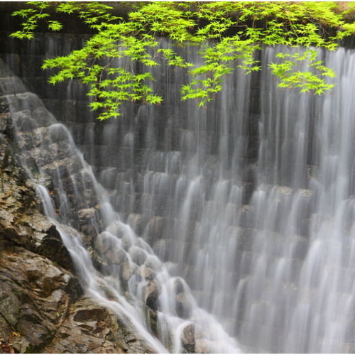 Nunobiki Falls// 3:00pm