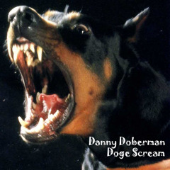 Doge Scream