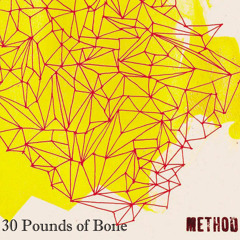 THIRTY POUNDS OF BONE - Where I Used To Live