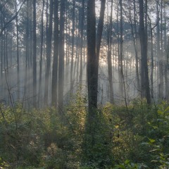 Unknown Atmosphere