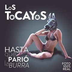 LoS ToCAYoS - ¿Acaso?