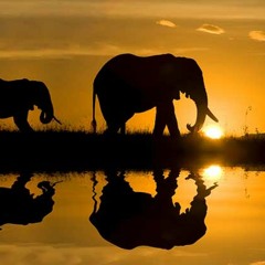 Africa Dub (DUB MASTERS)