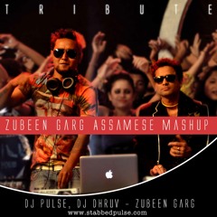 Dj Pulse, Dj Dhruv - Zubeen Garg Assamese Mashup Mix 2014 (Remix)