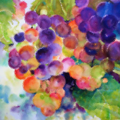 Bottled Up Grapes