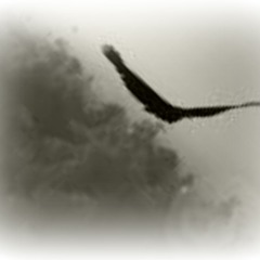 Josef Lubjansky-Freedom(ORIGINAL MIX)