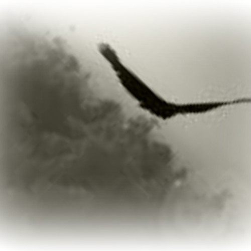 Josef Lubjansky-Freedom(ORIGINAL MIX)