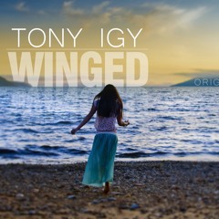 Tony Igy - Winged (Original Mix)