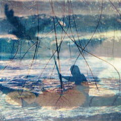 Pine Grove - hallow (thank you)