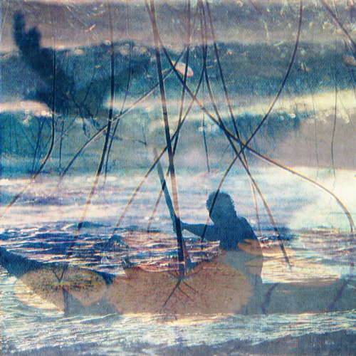 Pine Grove - hallow (thank you)