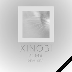 Xinobi - Woods (Bufi remix)