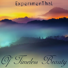 Niklas Thal pres. ExperimenThal - Of Timeless Beauty (Original Mix)