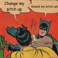 The Prodigy - Smack My Bitch Up (remix)