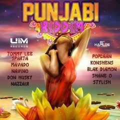 ALKALINE - FUCK DOCTOR - PUNJABI RIDDIM - UIM RECORDS - 2014